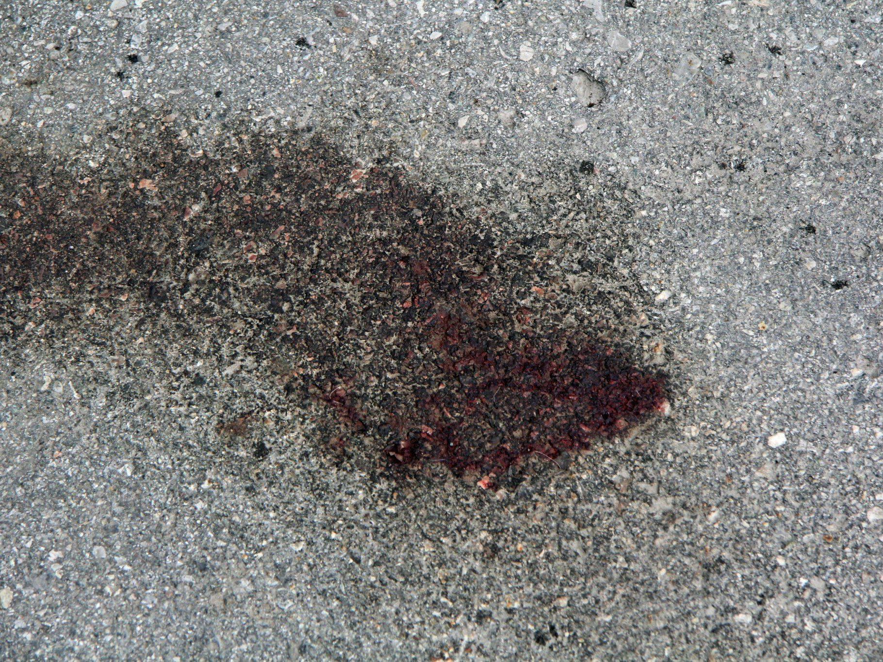 Blutreste des getöteten Hundes am Tatort in Schruns. Blutreste des getöteten Hundes am Tatort in Schruns.