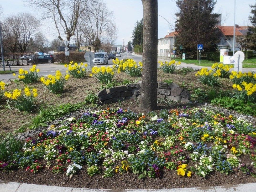 Auf den verschiedenen öffentlichen Flächen im Ort erfreut der „Frühling“ das Auge des Betrachters.