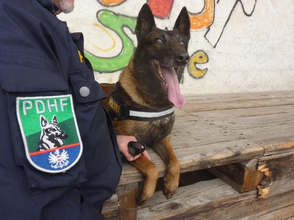 Dem Pärchen auf dem Dach des Messeparks dürfte die Aussicht schlagartig egal gewesen sein. Dem Pärchen auf dem Dach des Messeparks dürfte die Aussicht schlagartig egal gewesen sein.