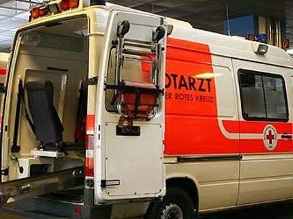Ein sechsjähriger Bub starb am Freitag bei einem Unfall in Wien-Liesing. Ein sechsjähriger Bub starb am Freitag bei einem Unfall in Wien-Liesing.