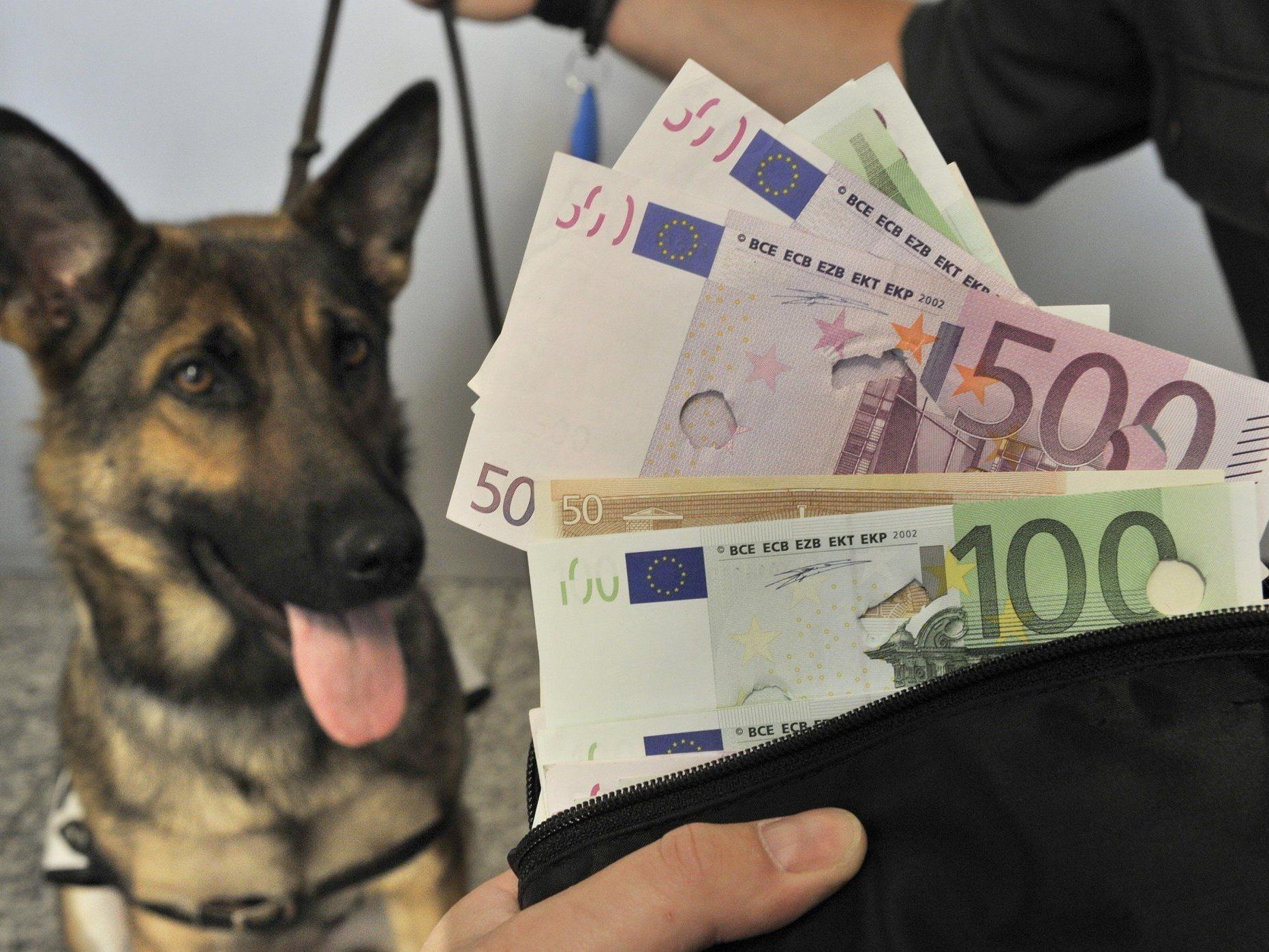 Bargeldspürhund im Einsatz - Vorarlberger Zoll erwischte Österreicher mit 220.000 Euro im Handschuhfach.