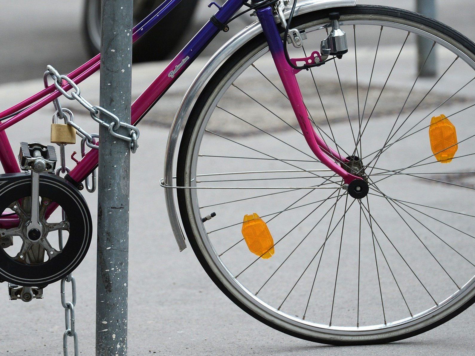 Festivalradln - Mit dem Fahrrad zum GLOBAL 2000 TOMORROW FESTIVAL Festivalradln - Mit dem Fahrrad zum GLOBAL 2000 TOMORROW FESTIVAL