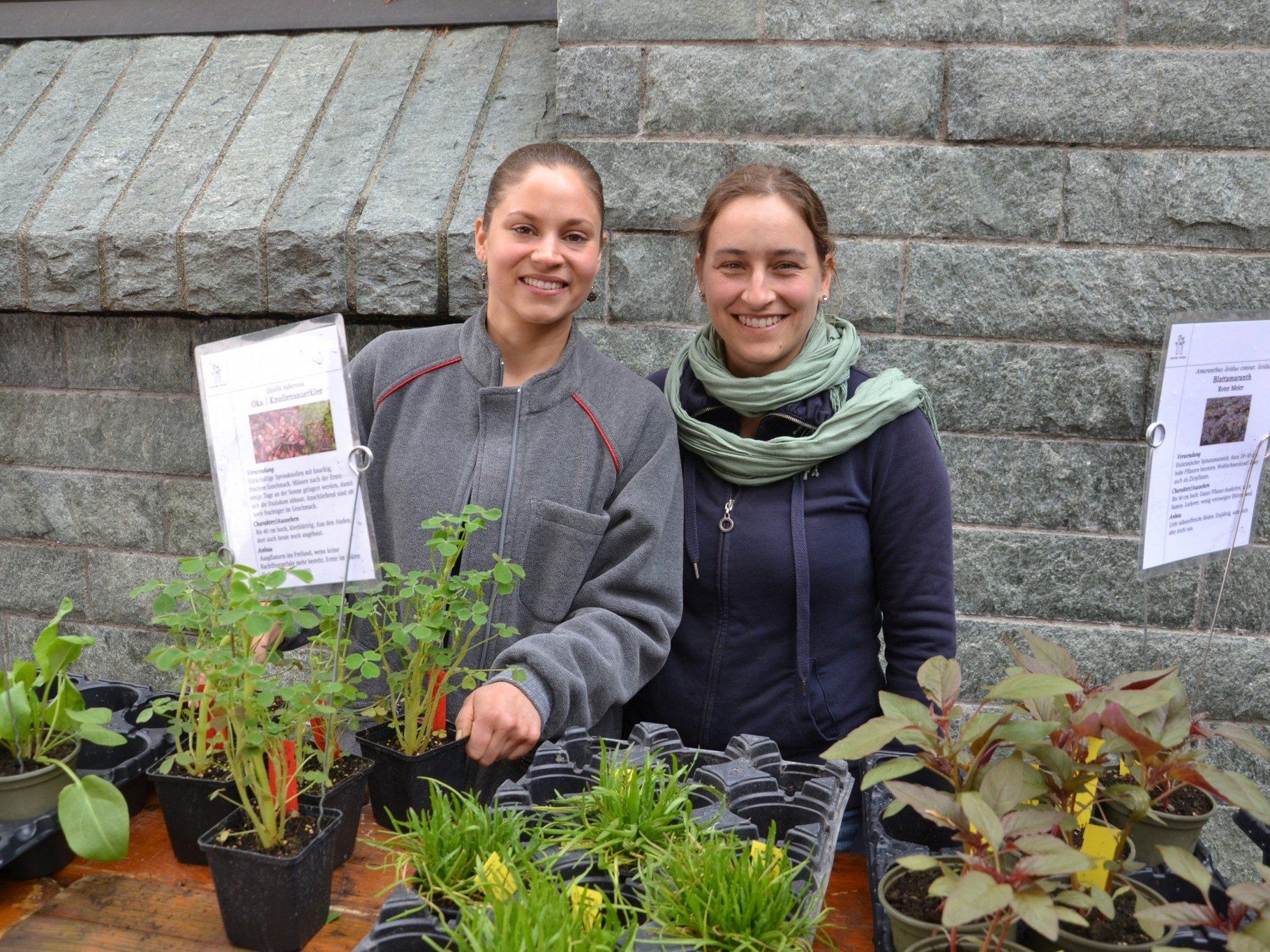 Jenny aus der Schweiz und Eva aus Muntlix halfen beim Arche Noah Verkauf mit Jenny aus der Schweiz und Eva aus Muntlix halfen beim Arche Noah Verkauf mit