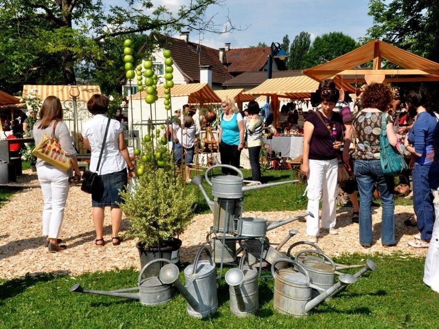 Der „Markt am Altacher Dorfplatz“ ist wieder eine wahre Fundgrube für floristische und handwerkliche Raritäten.