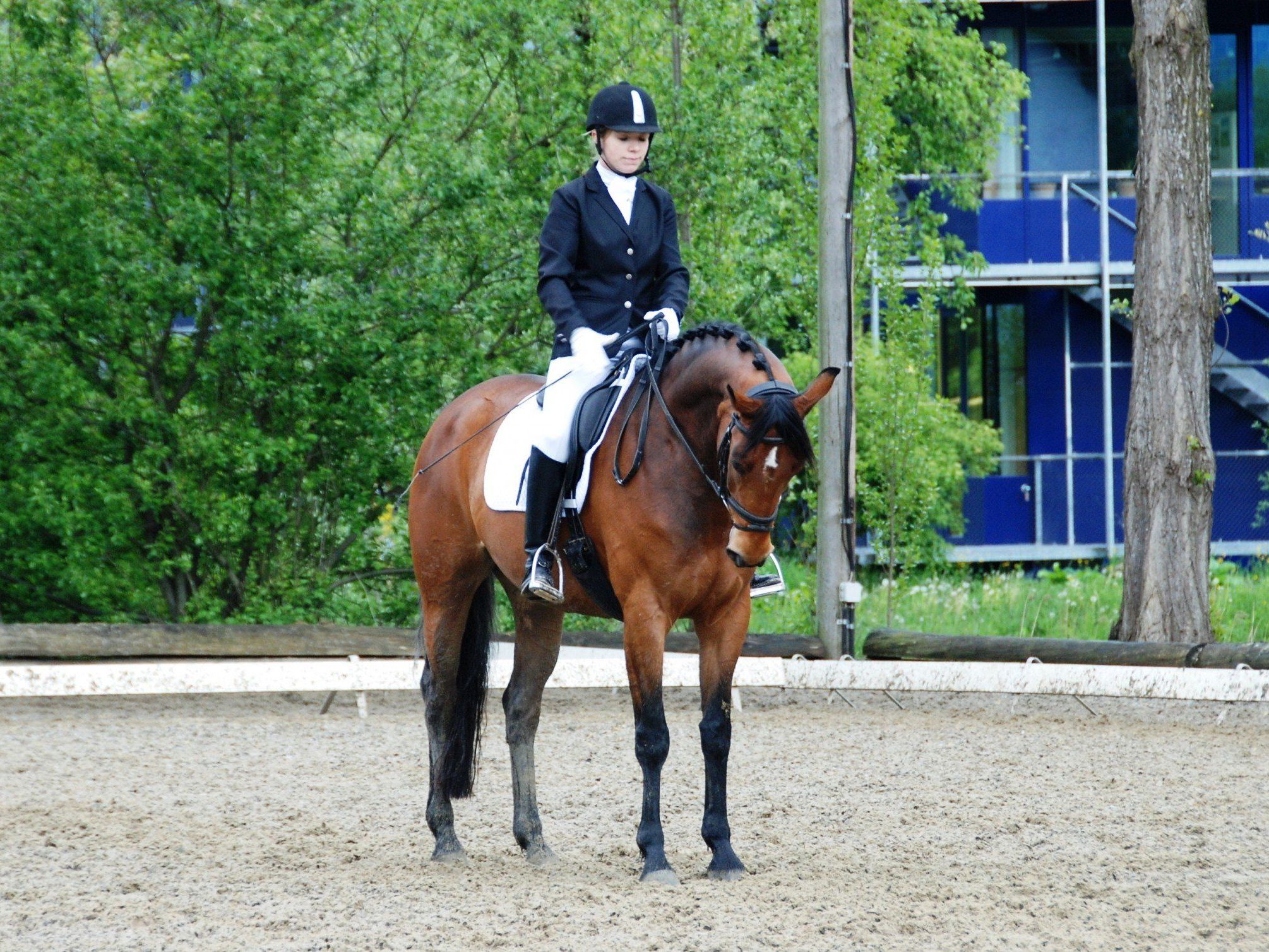 Sarah Hämmerle erreichte mit Rubina den ersten Platz. Sarah Hämmerle erreichte mit Rubina den ersten Platz.
