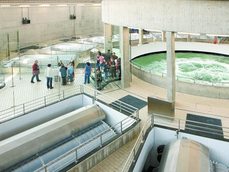 Der Quelltopf am Sipplinger Berg sprudelt aus Sicherheitsgründen hinter Glas. Der Quelltopf am Sipplinger Berg sprudelt aus Sicherheitsgründen hinter Glas.