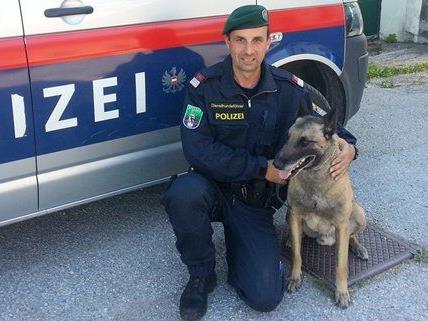 GI Wolfgang Lengauer, Diensthundeführer der DHI Wr. Neustadt, mit seinem Hund „Zenith Le Bousser“.