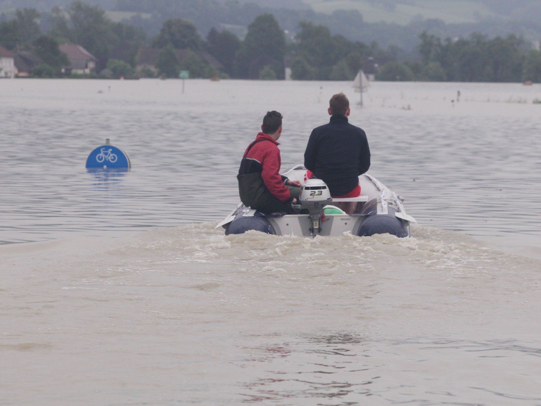 Hochwasser - Fünf Jäger mit Boot auf Donau bei Wallsee gekentert Hochwasser - Fünf Jäger mit Boot auf Donau bei Wallsee gekentert