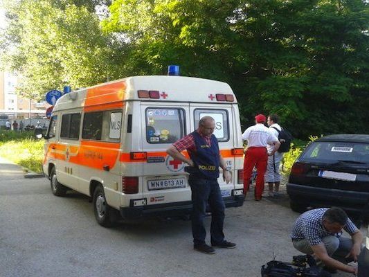 Wiener Neustadt sucht nach einem zweijährigen Buben Wiener Neustadt sucht nach einem zweijährigen Buben