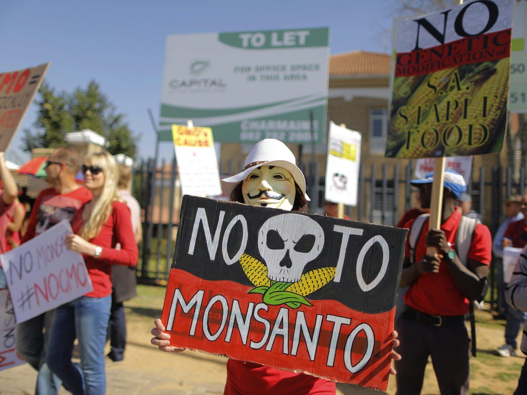 Monsanto: Feldversuch mit Gen-Weizen begann bereits 2011.