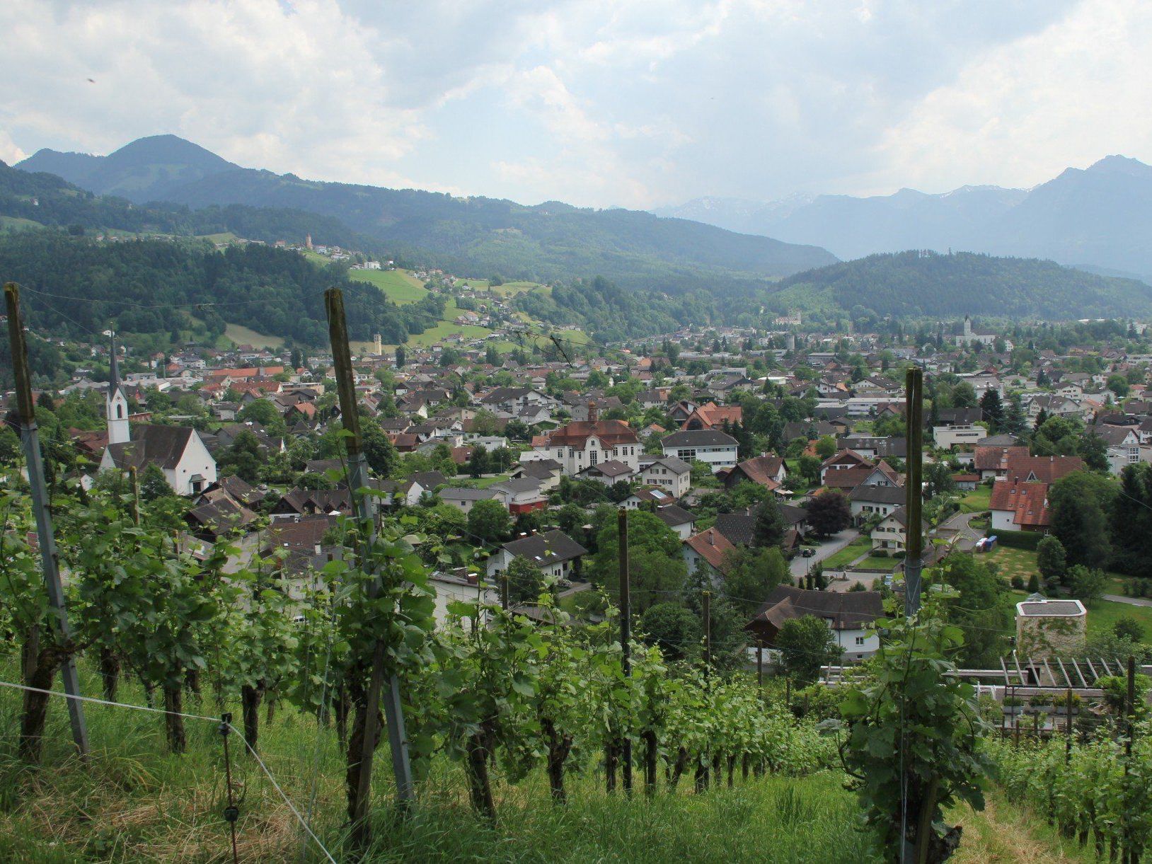 Ein toller Blick über das Vorderland bot sich den Teilnehmern bei der Weinwanderung des SR Göfis Ein toller Blick über das Vorderland bot sich den Teilnehmern bei der Weinwanderung des SR Göfis