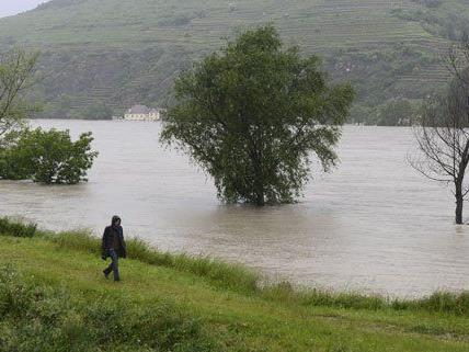 Verbund bestätigte bewusste Hochwasser-Flutung an der Donau
