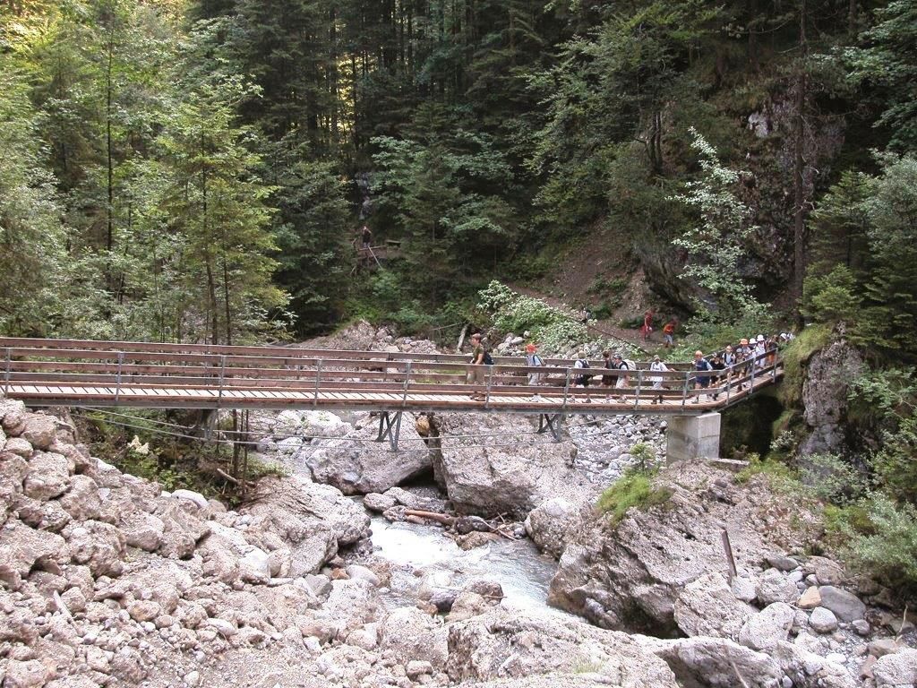 Biotopexkursion in die Bürser Schlucht. Biotopexkursion in die Bürser Schlucht.