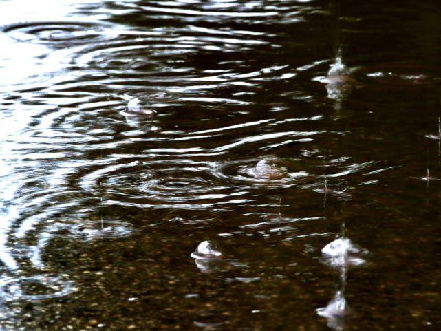 Der Regen hat Österreich auch weiter fest im Griff. Der Regen hat Österreich auch weiter fest im Griff.