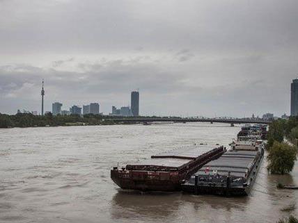 Hochwasser nähert sich Wien