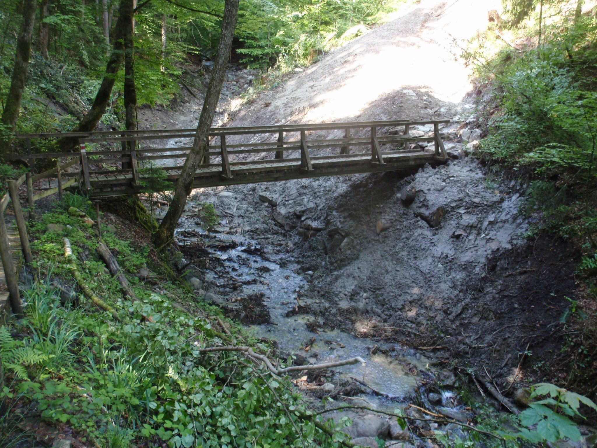 Die Gemeinde Buch forciert nach dem Starkregen nun die Sanierung der Wanderwege. Die Gemeinde Buch forciert nach dem Starkregen nun die Sanierung der Wanderwege.