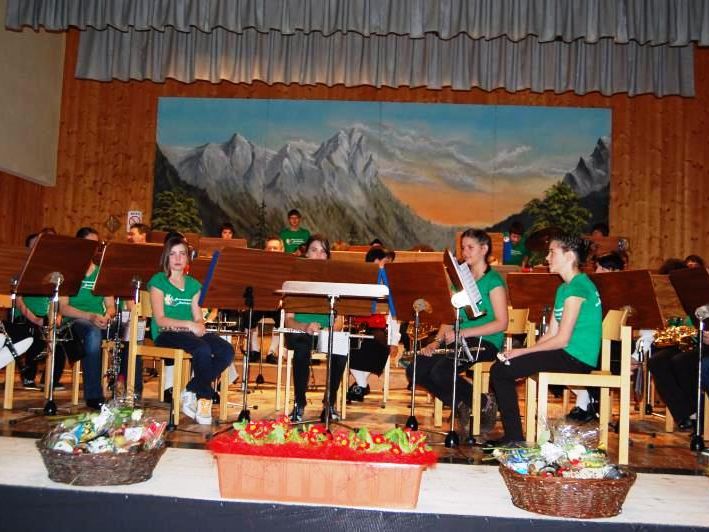 Ein/e neue/r KapellmeisterIn für die Harmoniemusik gesucht. Ein/e neue/r KapellmeisterIn für die Harmoniemusik gesucht.