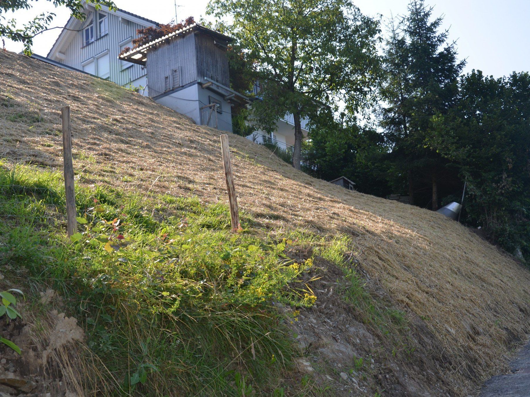 Der Hang in Batschuns wurde saniert und stabilisiert. Der Hang in Batschuns wurde saniert und stabilisiert.