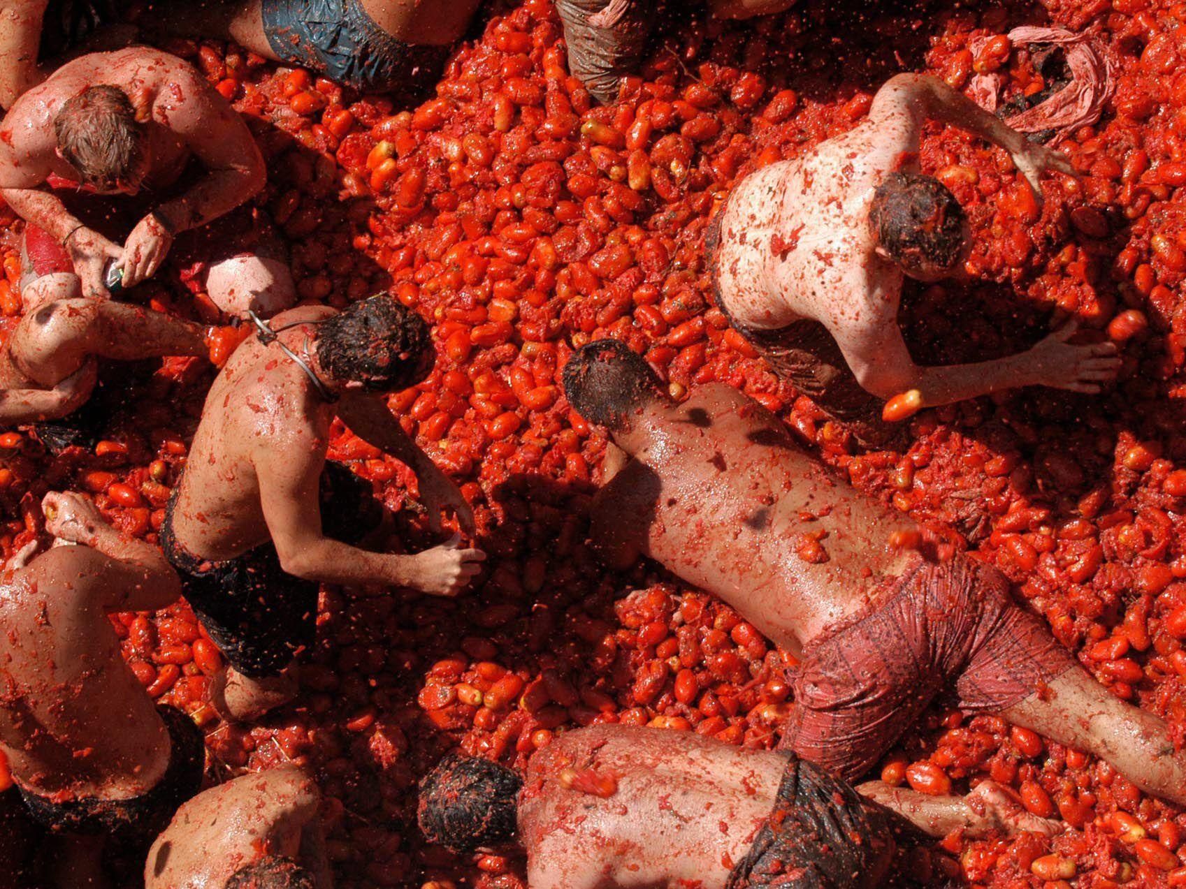 Die "Krieger" der diesjährigen "Tomatina" müssen Eintritt bezahlen. Die "Krieger" der diesjährigen "Tomatina" müssen Eintritt bezahlen.