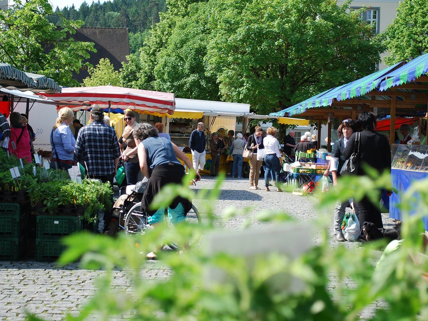 Der Rankler Wochenmarkt bekommt Zuwachs: Die Metzgerei Ziegler aus Doren. Der Rankler Wochenmarkt bekommt Zuwachs: Die Metzgerei Ziegler aus Doren.