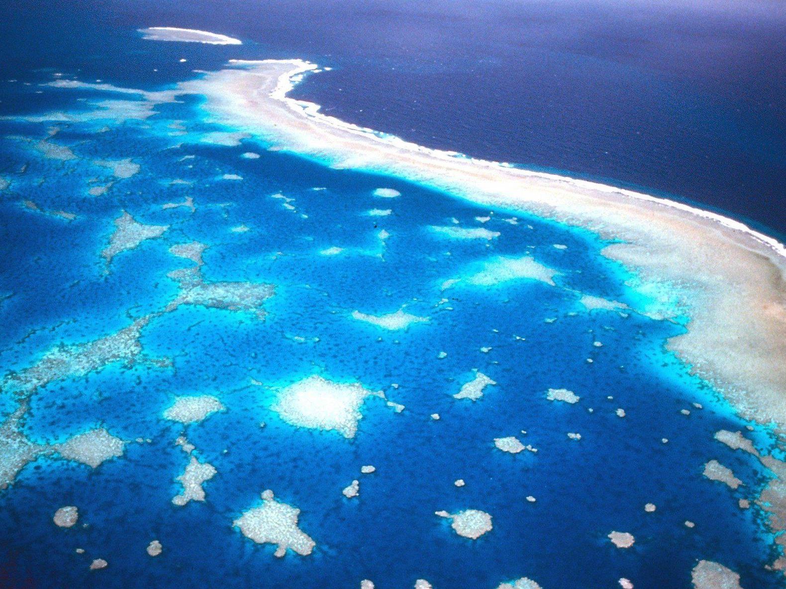Vier amerikanische Bomben sind im Barrier Reef in Australien geortet worden.