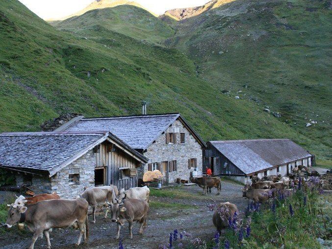 Fortschritte in der Alpflächendiskussion. Fortschritte in der Alpflächendiskussion.