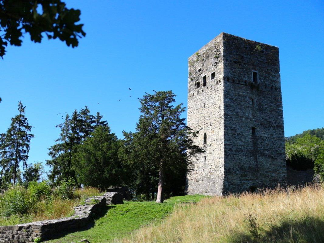 Die Tostnerburg steht nicht nur unter Denkmalschutz, sondern auch unter Naturschutz.