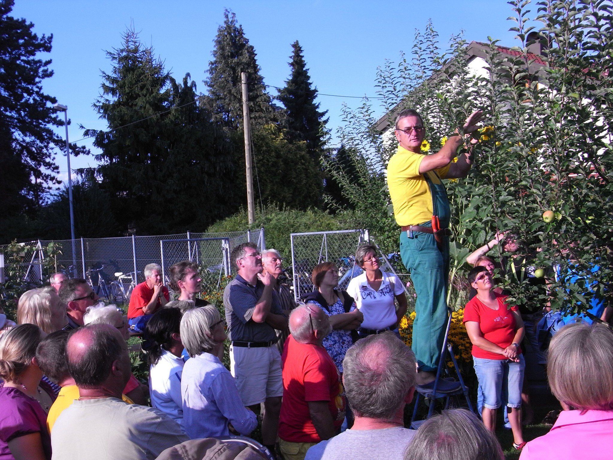 Sommerschnittkurs des OGV-Hard Sommerschnittkurs des OGV-Hard