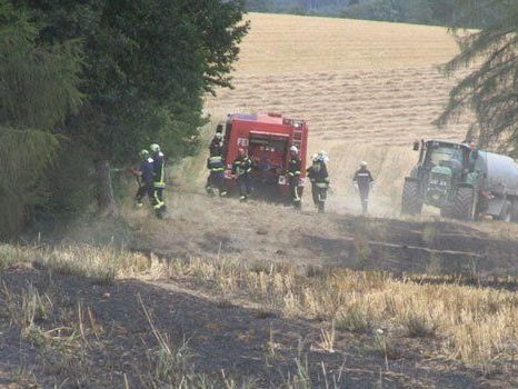 Eine Fläche von zwei Hektar musste gelöscht werden. Eine Fläche von zwei Hektar musste gelöscht werden.