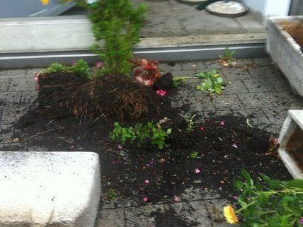 In Wien-Favoriten ist es zu Sachbeschädigungen gekommen. In Wien-Favoriten ist es zu Sachbeschädigungen gekommen.