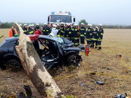 Am Sonntag wurden 13 Personen bei Unfällen in Niederösterreich verletzt. Am Sonntag wurden 13 Personen bei Unfällen in Niederösterreich verletzt.