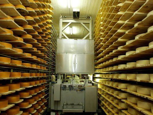 "Käsemacher"-Geschäftsführer Ploner seit Sonntag abgängig "Käsemacher"-Geschäftsführer Ploner seit Sonntag abgängig