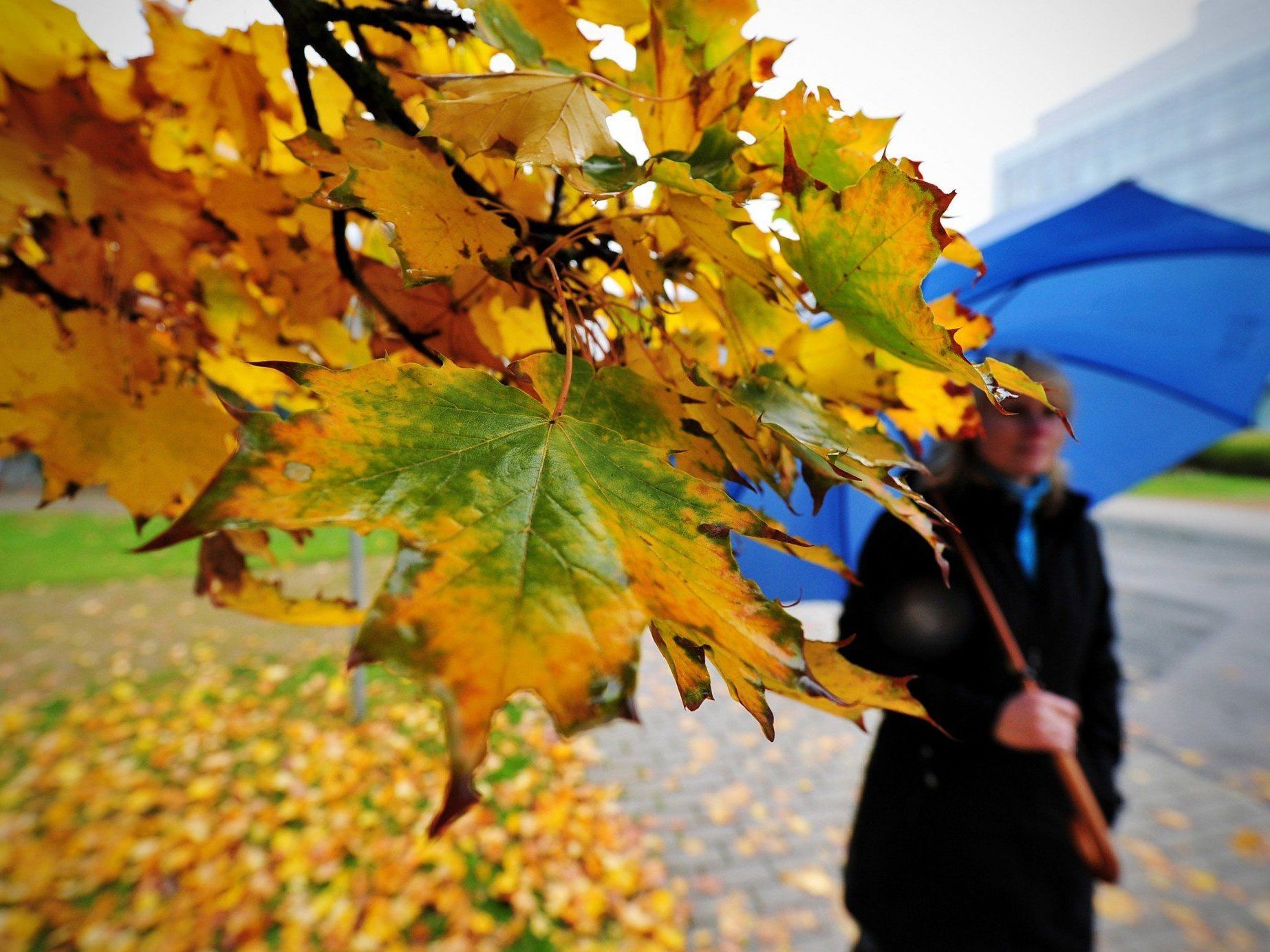 Wetter kommende Woche herbstlich kühl und regnerisch Wetter kommende Woche herbstlich kühl und regnerisch