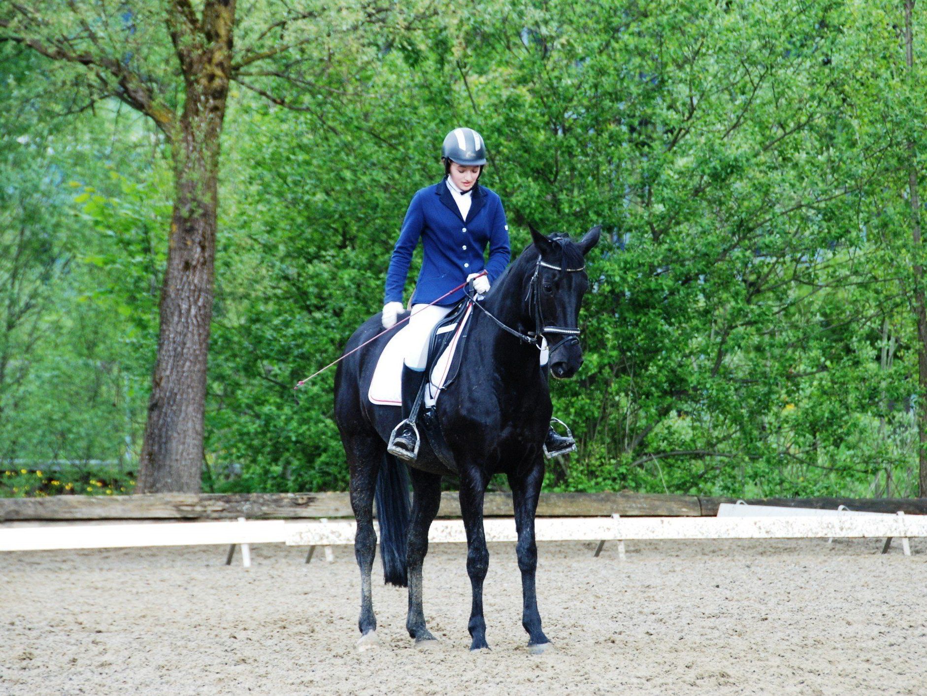 Kuster Sophie mit Kronenstern Kuster Sophie mit Kronenstern