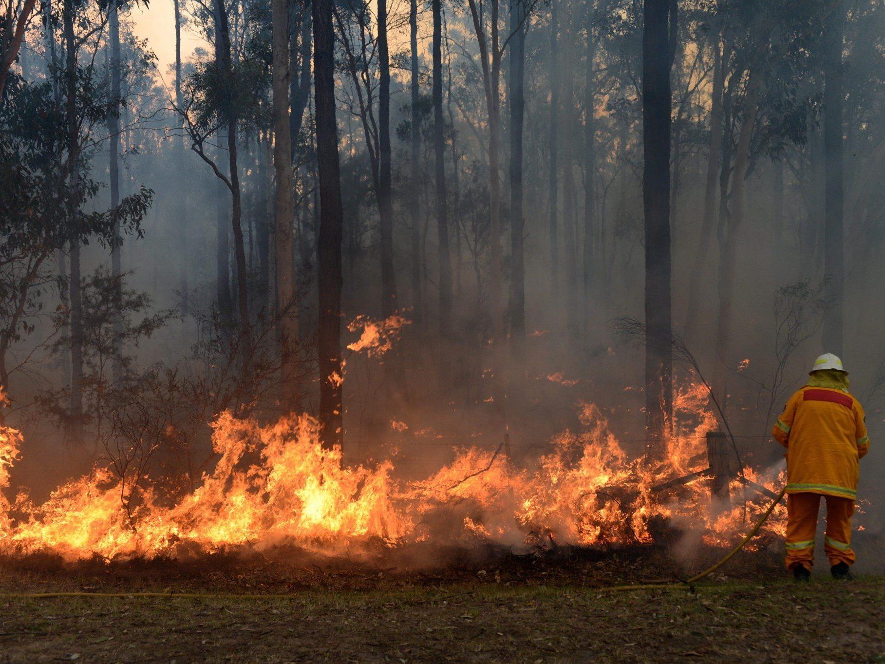 Dutzende Buschfeuer läuten in Australien den Sommer ein.