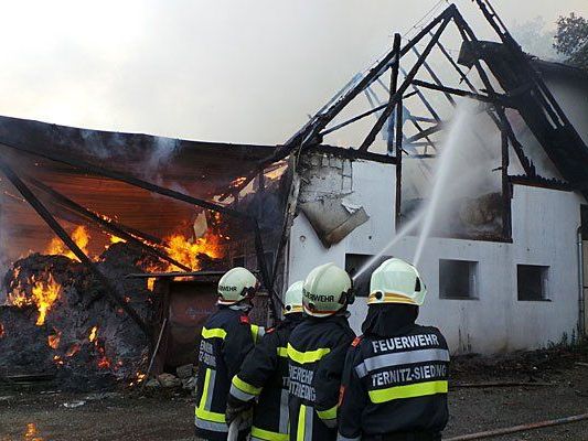 Beim Großeinsatz in Gloggnitz Beim Großeinsatz in Gloggnitz