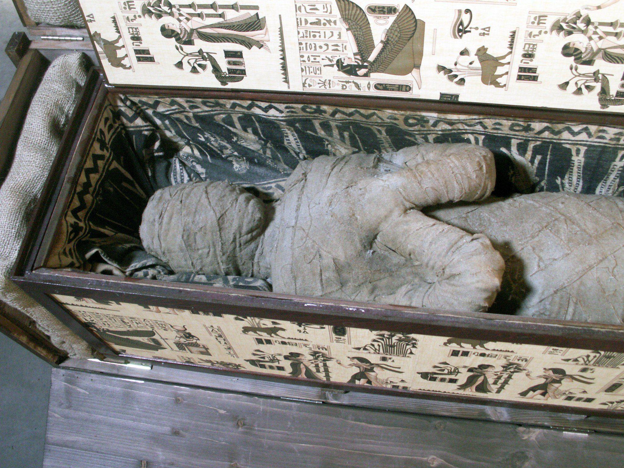 Eine Mumie von einem Dachboden in Diepholz hat sich als Fälschung entpuppt, doch die Figur gibt den Ermittlern weiter Rätsel auf.