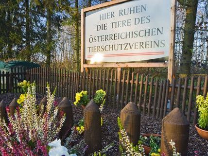 Am 14. September findet ein Tag der offenen Tür statt. Am 14. September findet ein Tag der offenen Tür statt.