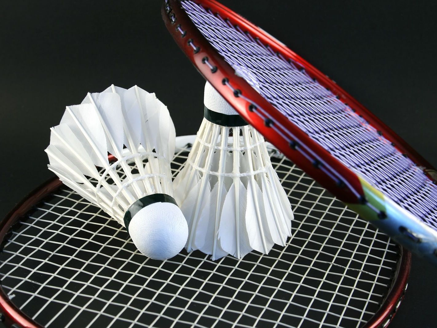 Anfängerkurs für Hobbyspieler: Start am 30. Oktober. Anfängerkurs für Hobbyspieler: Start am 30. Oktober.