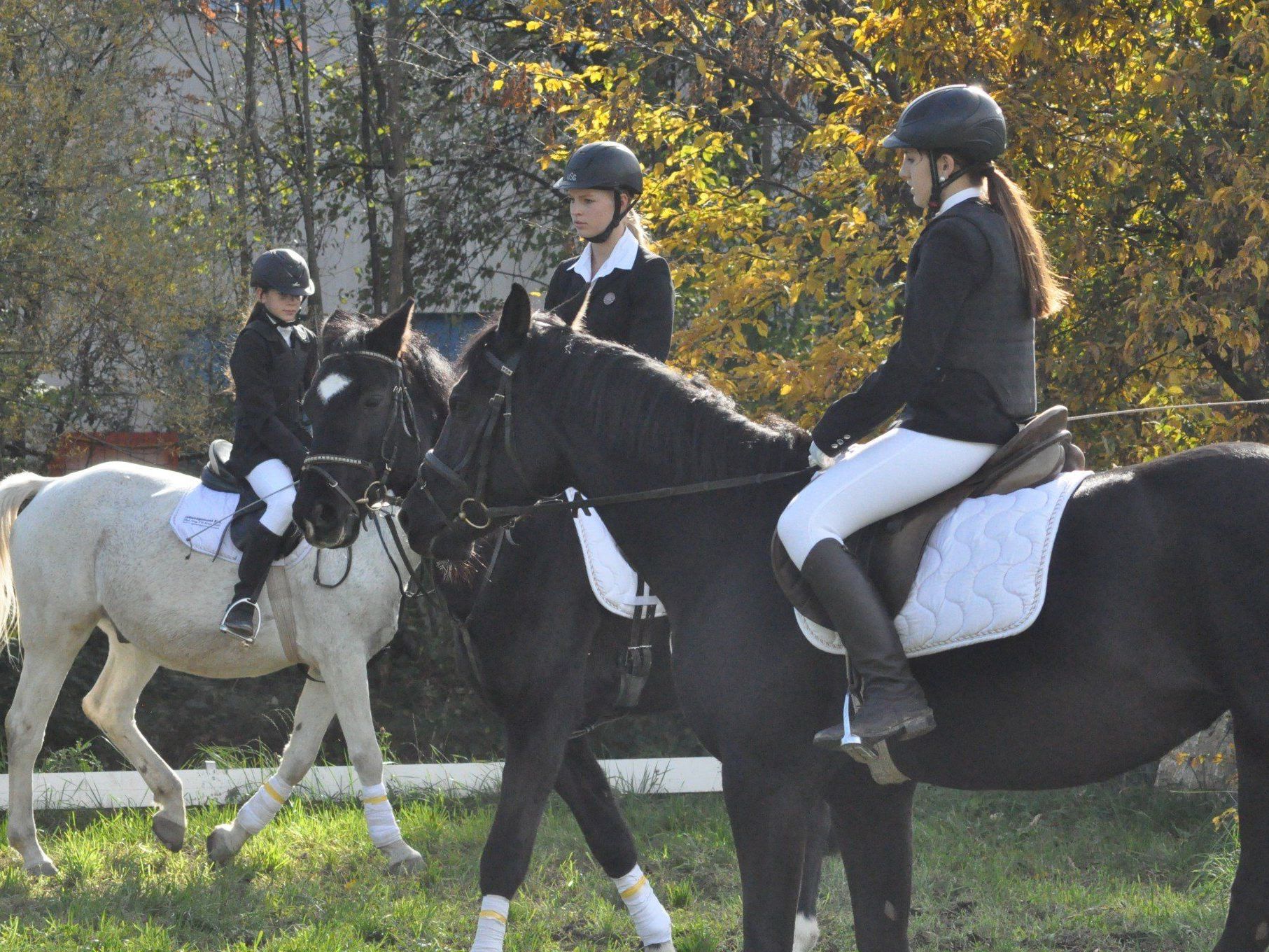 Alles rund ums Pferd gab es bei der Lions Club Wohltätigkeitsveranstaltung in Klaus. Alles rund ums Pferd gab es bei der Lions Club Wohltätigkeitsveranstaltung in Klaus.