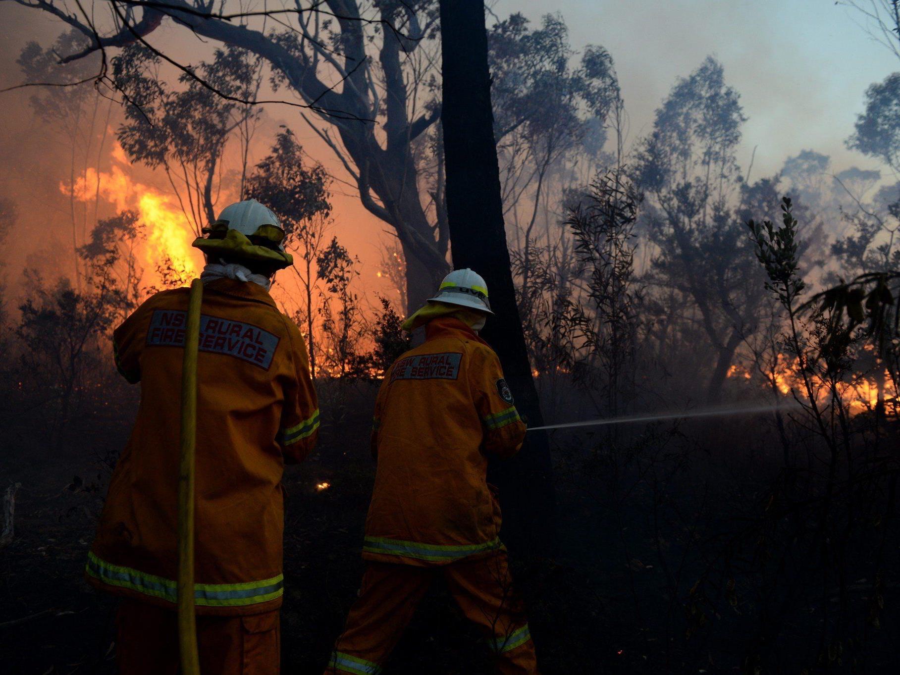 Nach den verheerenden Buschbränden in Australien entspannt sich die Lage langsam.