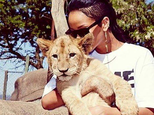 Rihanna auf Tuchfühlung mit einem kleinen Löwen in Südafrika.