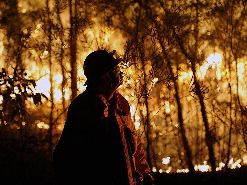 Heftige Buschbrände wüten derzeit in Australien.