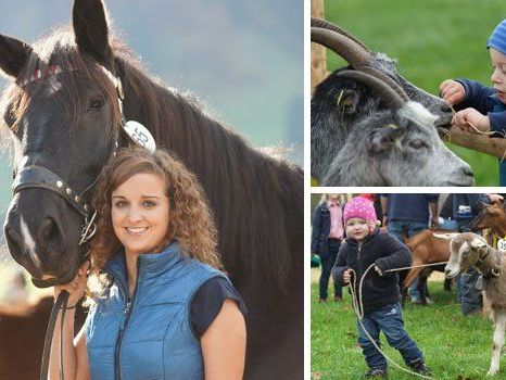Große Pferde und süße Ziegen sorgen in Andelsbuch jedes Jahr für leuchtende (Kinder-)Augen. Große Pferde und süße Ziegen sorgen in Andelsbuch jedes Jahr für leuchtende (Kinder-)Augen.