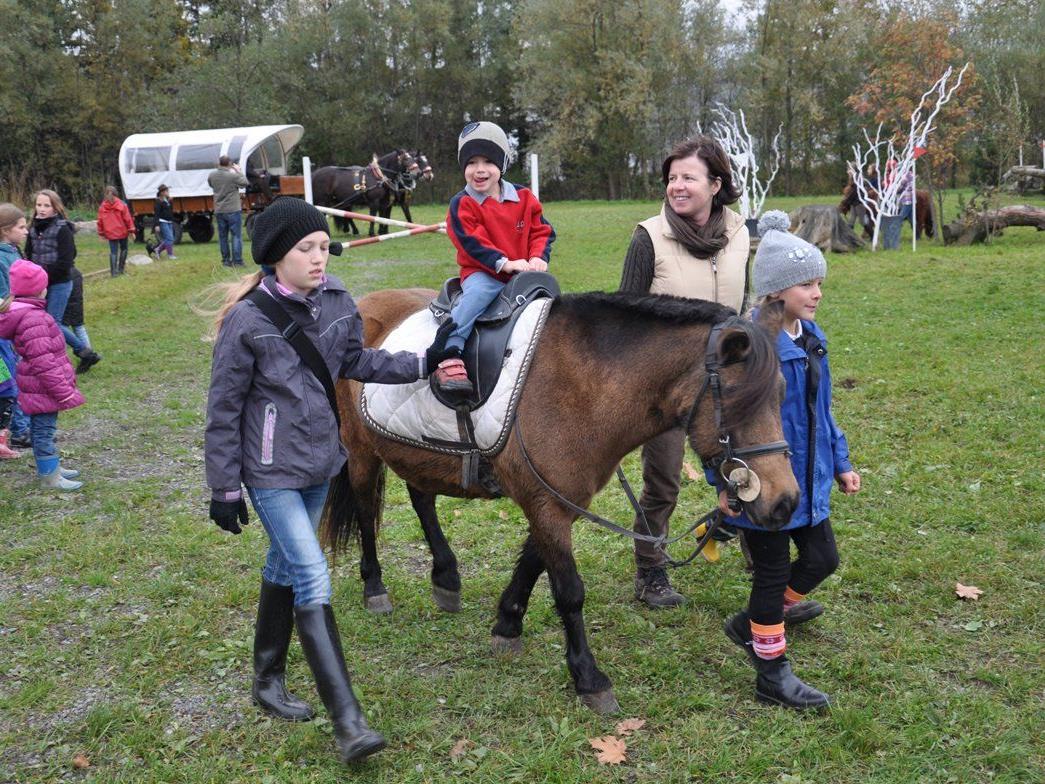 Pferdefest am Nationalfeiertag, 26.Oktober auf der Reitanlage des Reitclub Wildfang in Klaus ab 10 Uhr.