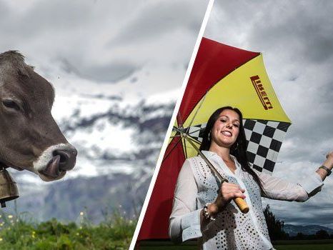 Schnee bis in die Tallagen. Und falls nicht, schüttet es dafür wie aus Kübeln. Schnee bis in die Tallagen. Und falls nicht, schüttet es dafür wie aus Kübeln.