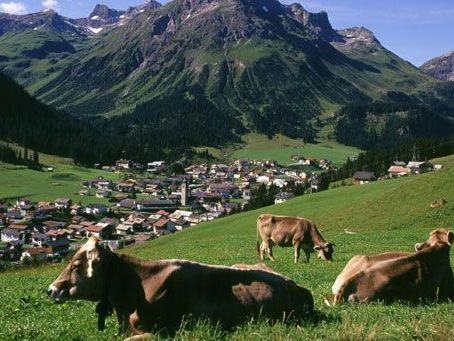 Rund 50 Haushalte stehen unter Beobachtung - Heuer zehn Anzeigen Rund 50 Haushalte stehen unter Beobachtung - Heuer zehn Anzeigen