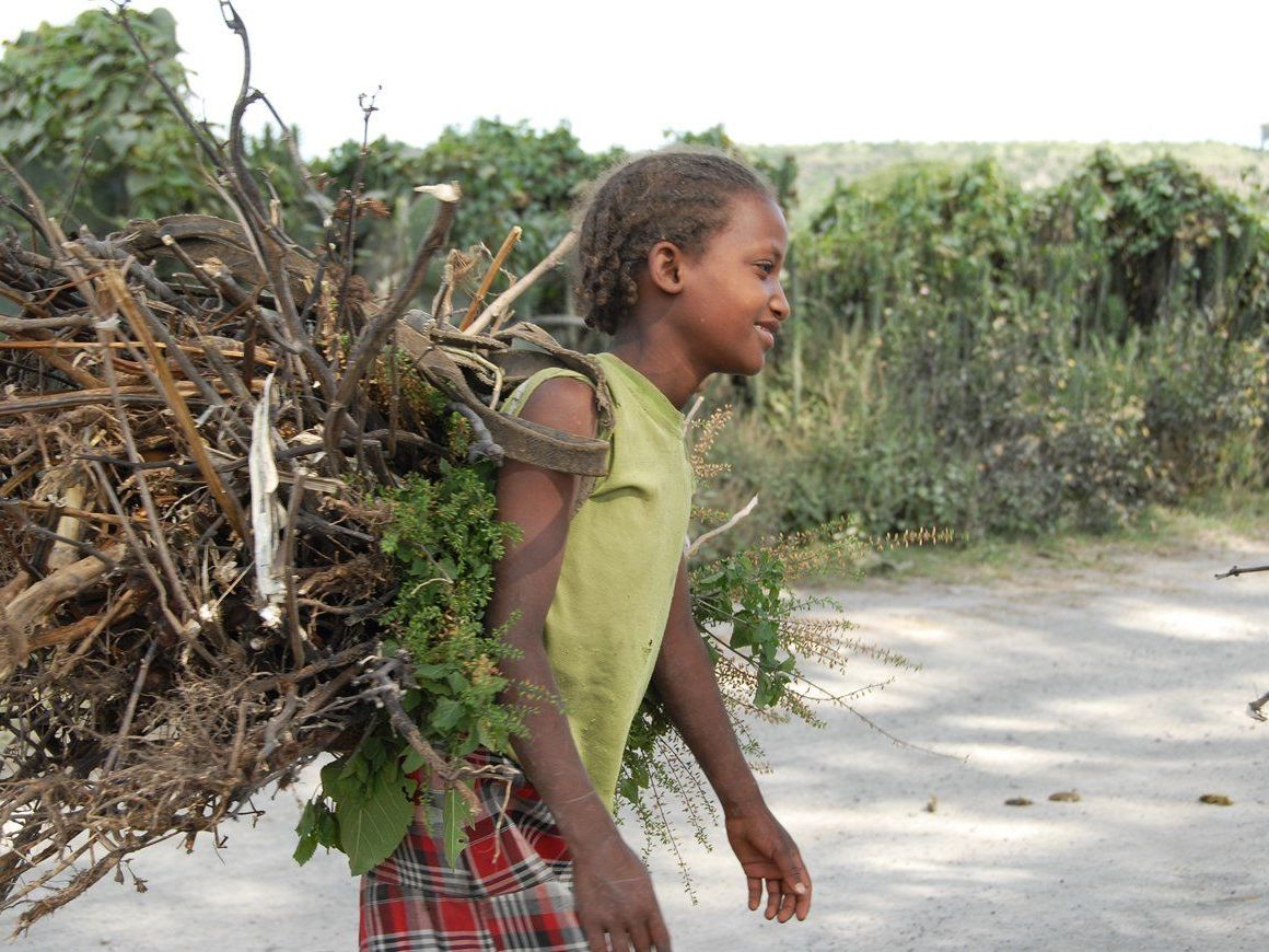 Die Bundesgymnasien Dornbirn Stadt, Bregenz-Blumenstraße und Bludenz sowie die Volksschulen Batschuns, Götzis-Blattur und Weidach beteiligen sich am Projekt „kinderspuren“. Die Bundesgymnasien Dornbirn Stadt, Bregenz-Blumenstraße und Bludenz sowie die Volksschulen Batschuns, Götzis-Blattur und Weidach beteiligen sich am Projekt „kinderspuren“.