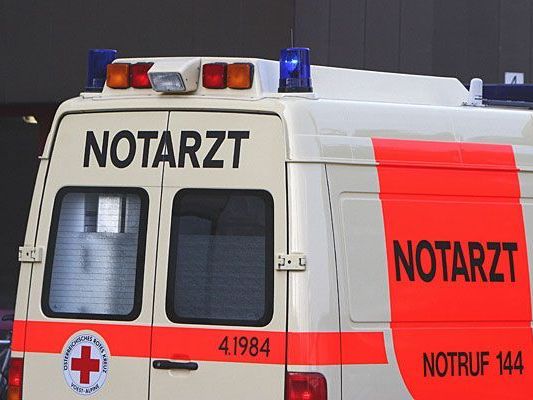 Ein Schwerverletzter bei Unfall in Niederösterreich Ein Schwerverletzter bei Unfall in Niederösterreich