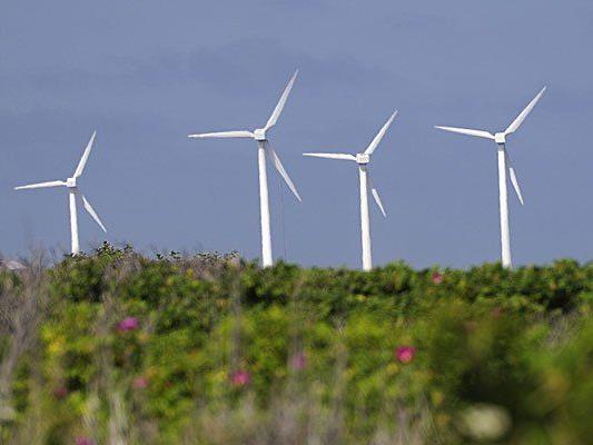 Am Pfänder könnten bald Windräder für umweltfreundlichen Strom sorgen.
